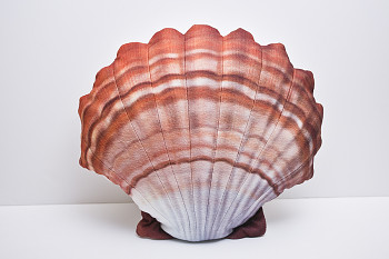 Scallop orange - 45 cm