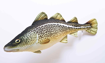 Atlantic Cod - 75 cm pillow