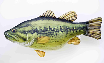 Trout Bass - 67 cm pillow