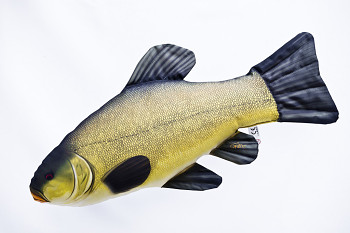 Tench - 60 cm pillow