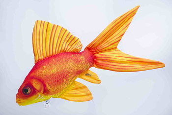 Gold Fish - 50 cm pillow