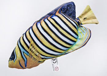 Regal Angelfish - 56 cm pillow