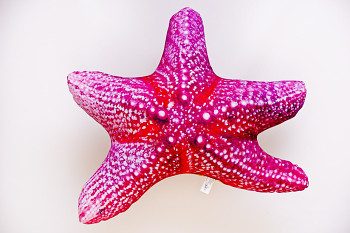 Starfish - 55 cm pillow