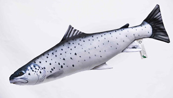 Sea Trout - 51 cm pillow