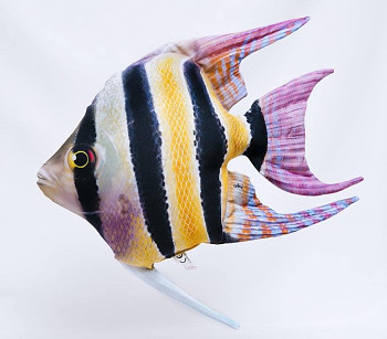 Freshwater Angelfish - 51 cm pillow