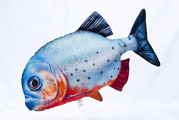 Red-bellied Piranha - 47 cm pillow