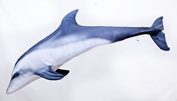 Common bottlenose dolphin mini 55 cm pillow