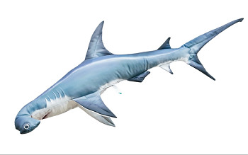 Žralok kladivoun velký - 110 cm polštář